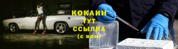 спиды Аркадак