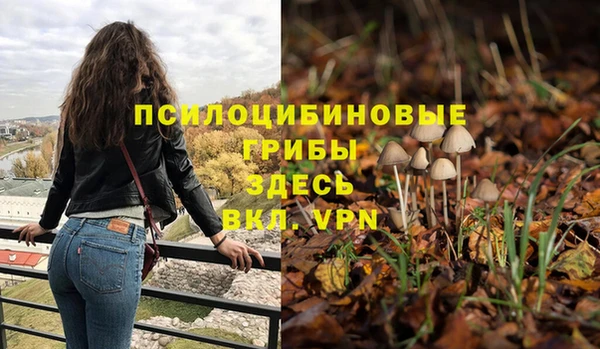 спиды Аркадак
